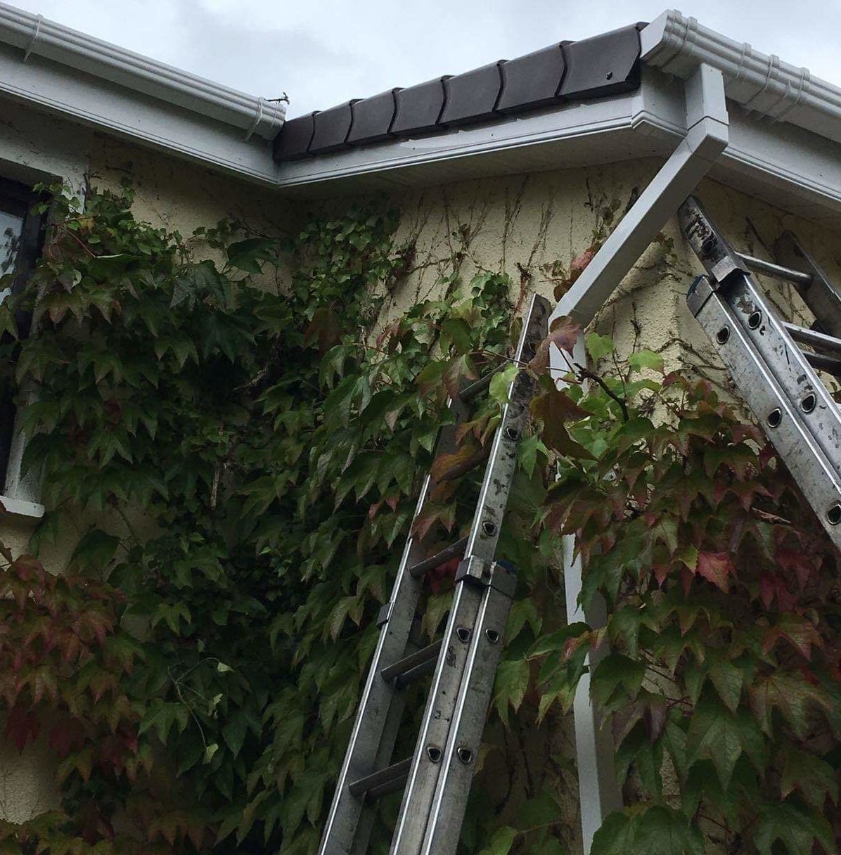 Roof Gutters and Downpipes Finglas